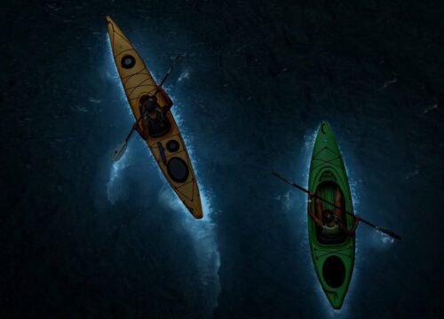 bioluminescent plankton kayak cat ba night tour