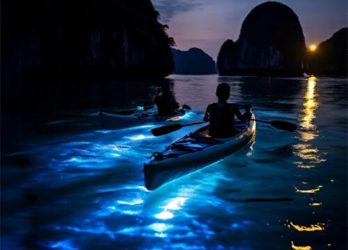 Experience the Magic: Sunset & Night Kayaking with Glowing Plankton
