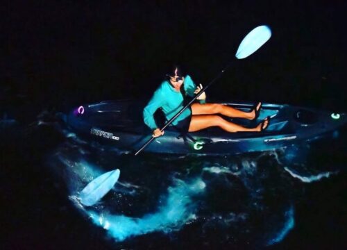 bioluminescent plankton kayak cat ba night tour