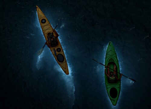 Bioluminescent Plankton Cat Ba: Complete Night Kayaking Guide 2026