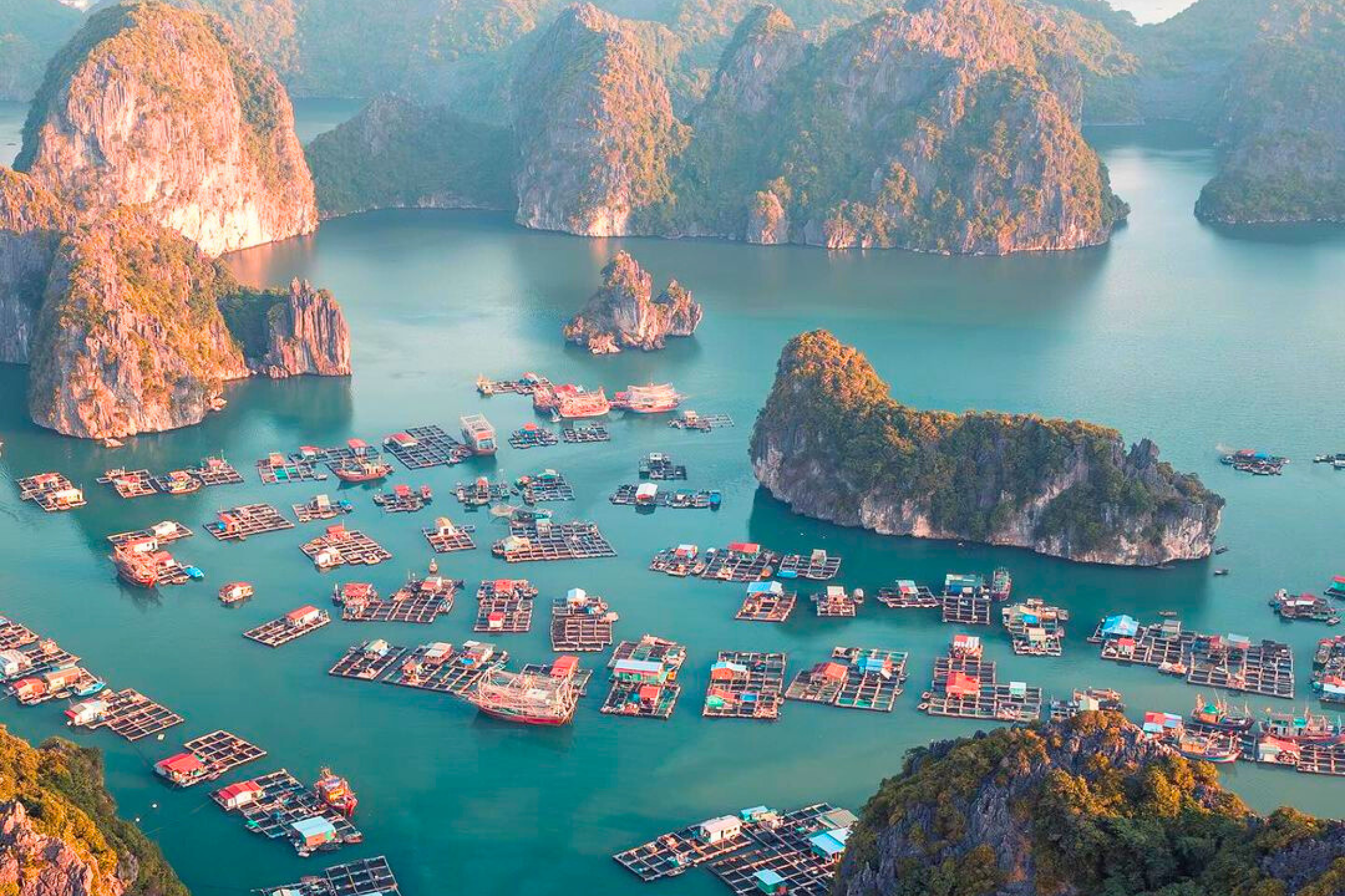 Cai Beo Fishing Village The Oldest Fishing Village in Viet Nam