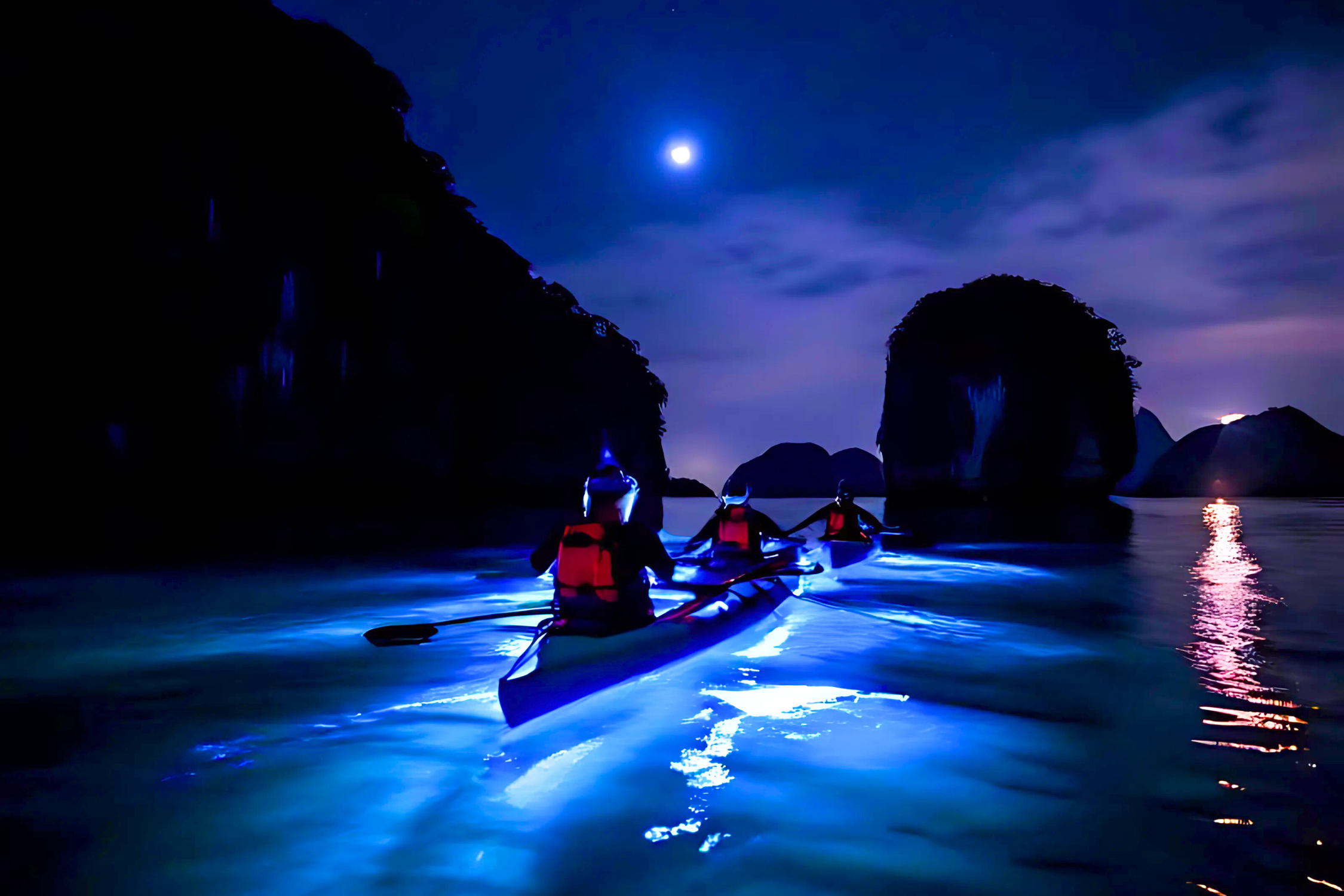 Night Kayaking with Plankton