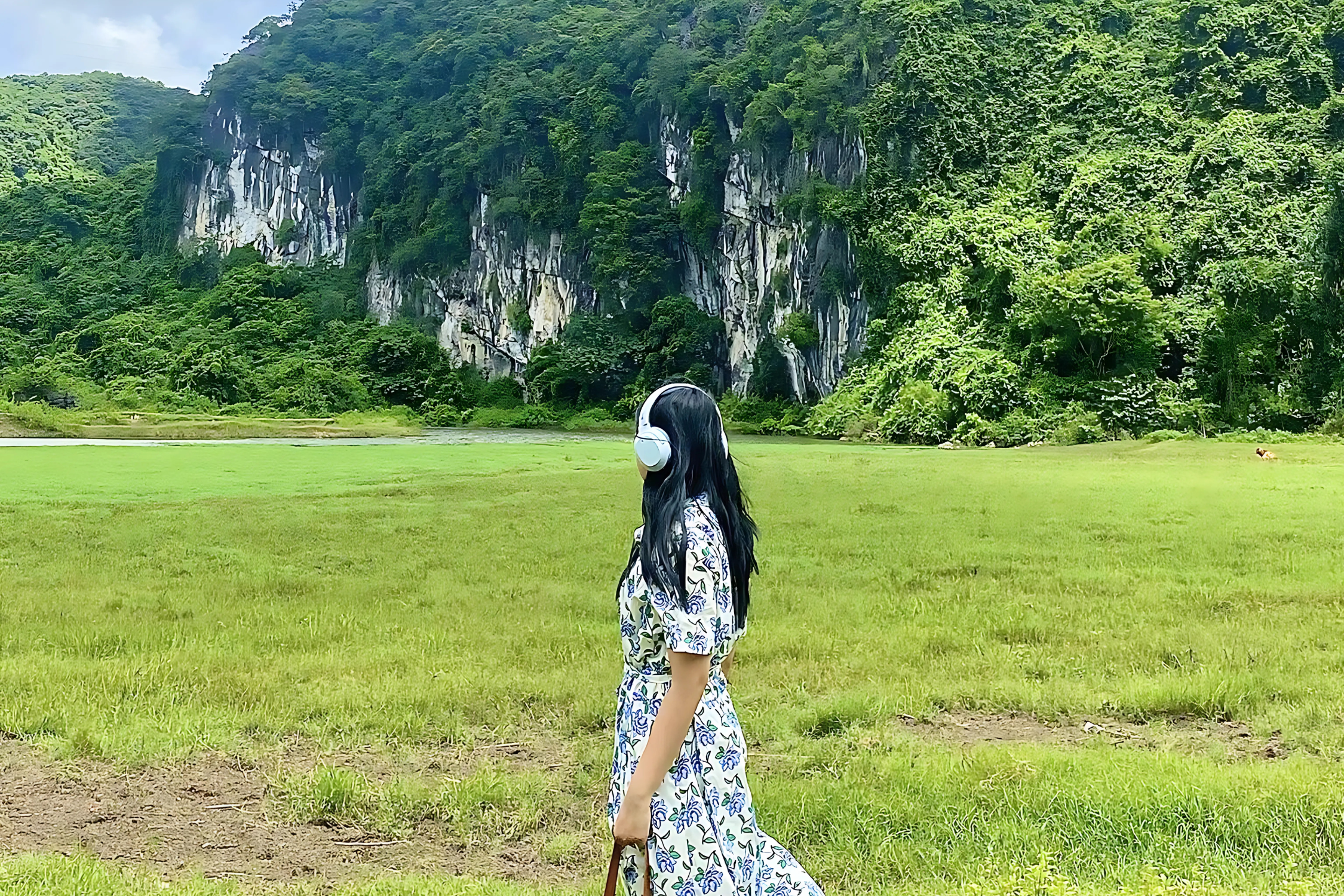The lush green meadow at Butterfly Valley