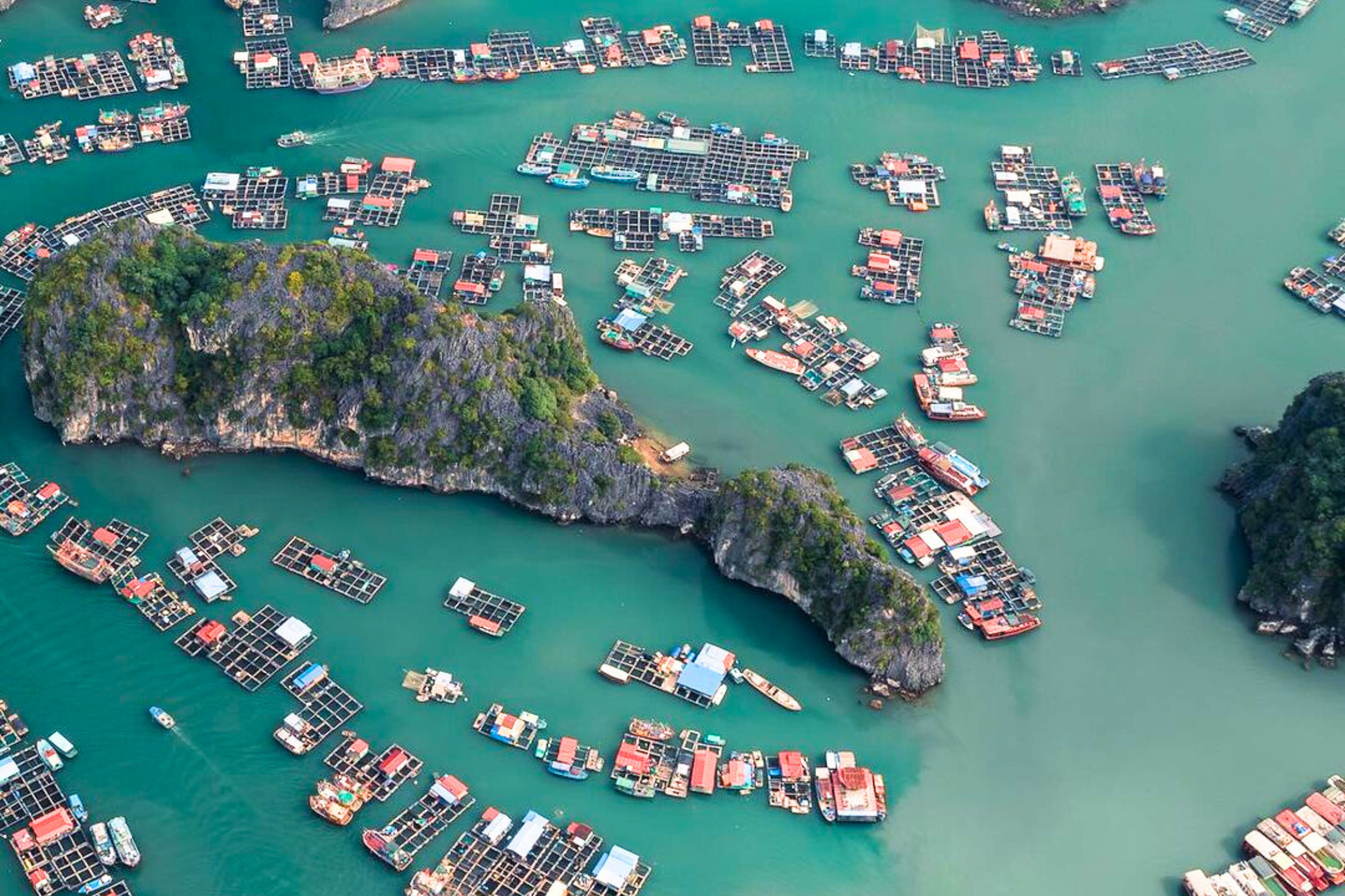Cai Beo Fishing Village from above
