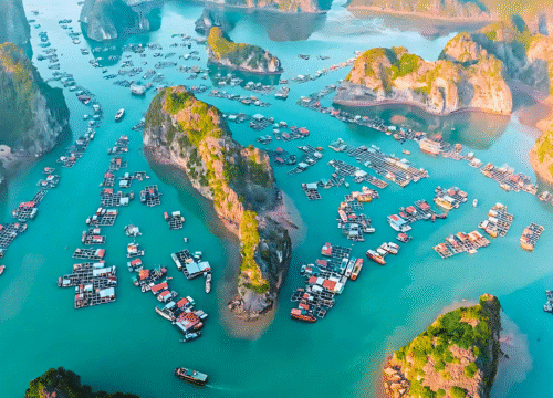 Cat Ba Island Culture and History: The Complete Guide