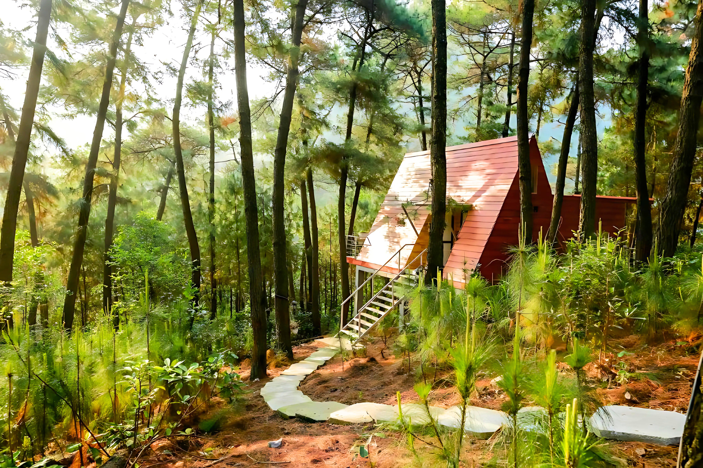 A Jungle Eco-Lodge in Cat Ba