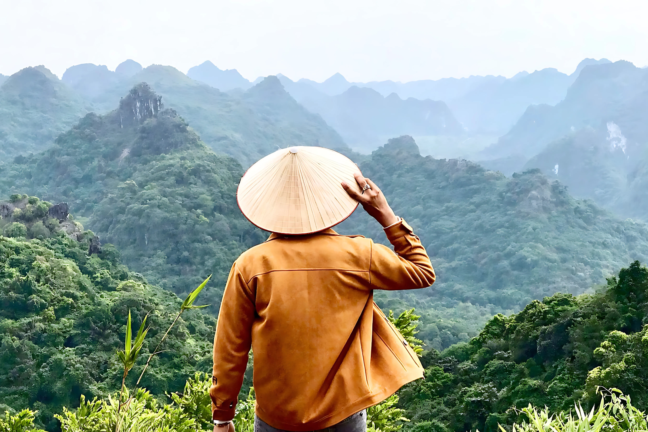 Trekking to Ngu Lam Peak, Cat Ba National Park