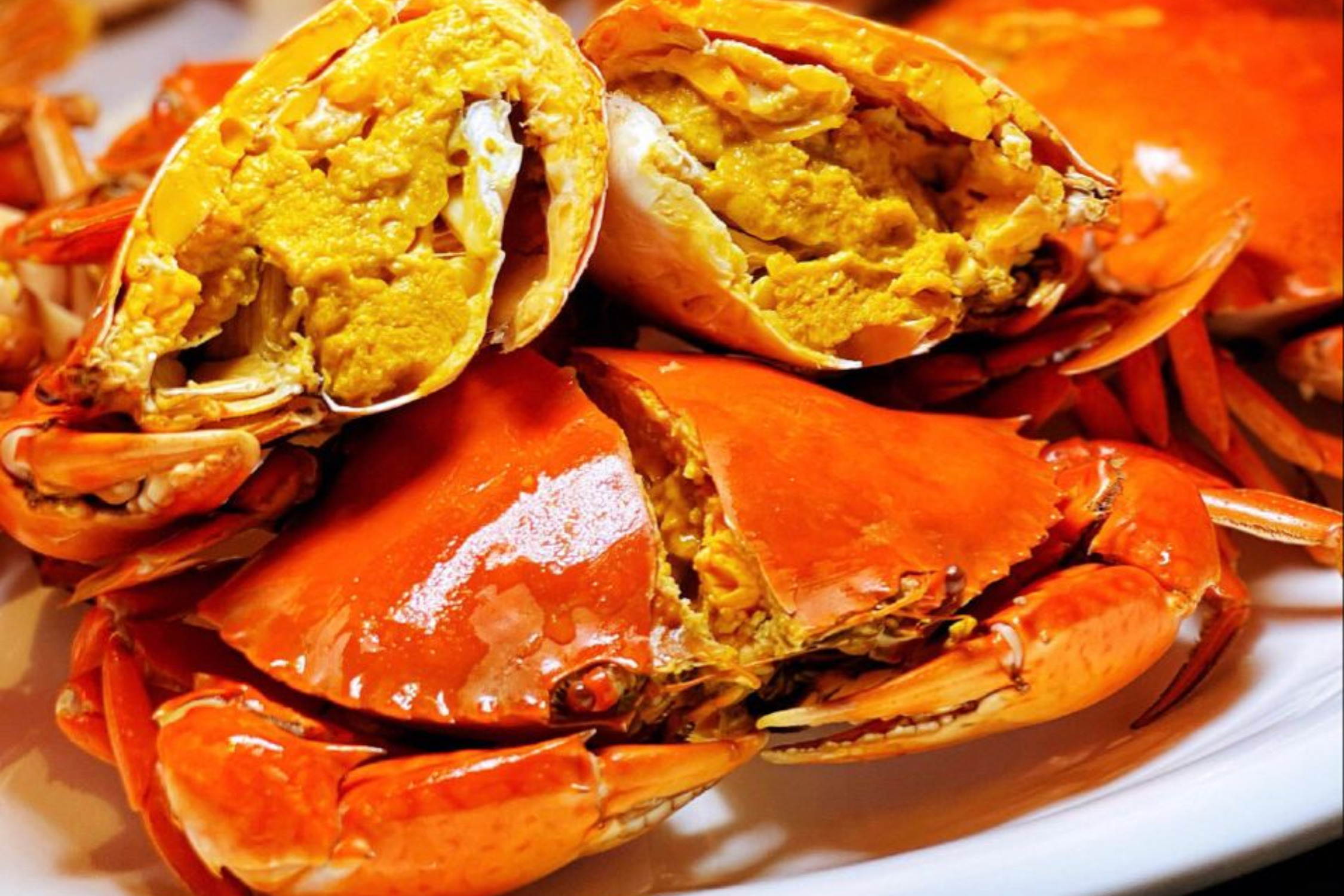 Steamed Sentinel Crab