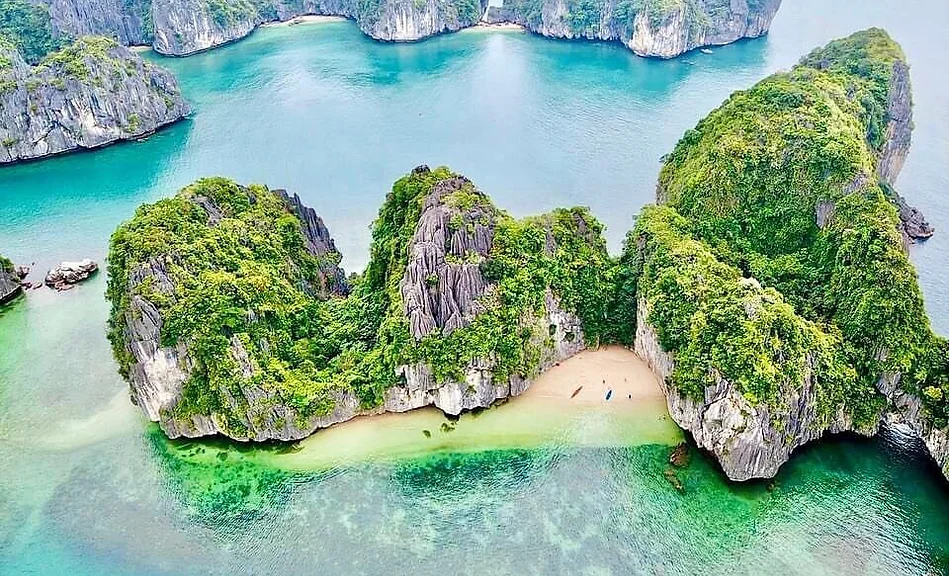 Cat Ba 2 Day Plankton Tour: Why One Night Changes Everything 1 cat-ba-2-day-plankton-tour