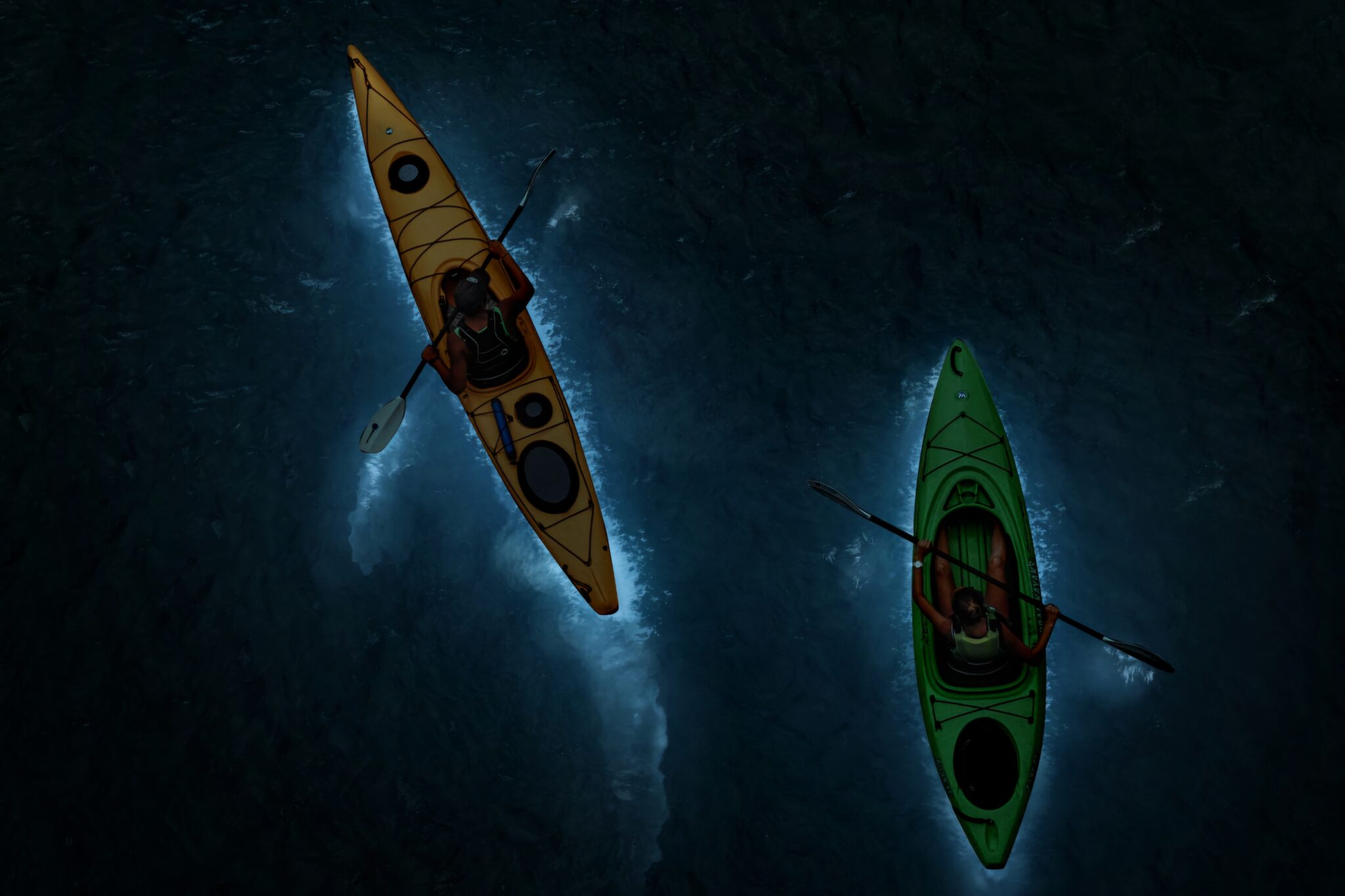 Cat Ba 2 Day Plankton Tour: Why One Night Changes Everything 4 Cat Ba 2 Day Plankton Tour: Why One Night Changes Everything